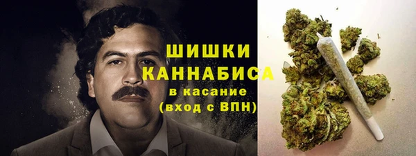 бошки Алексин
