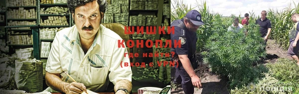 бошки Алексин