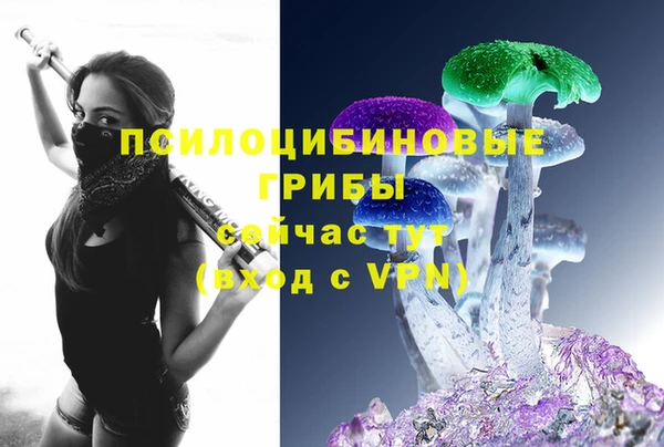 бошки Алексин
