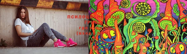 дживик Алексеевка