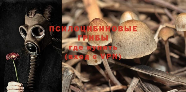 бошки Алексин