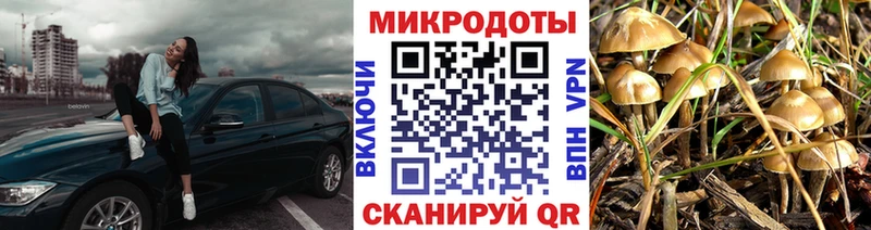 Галлюциногенные грибы мицелий  где купить наркоту  Ленинск-Кузнецкий 