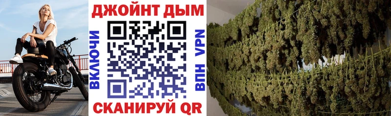 Бошки Шишки планчик  Ленинск-Кузнецкий 